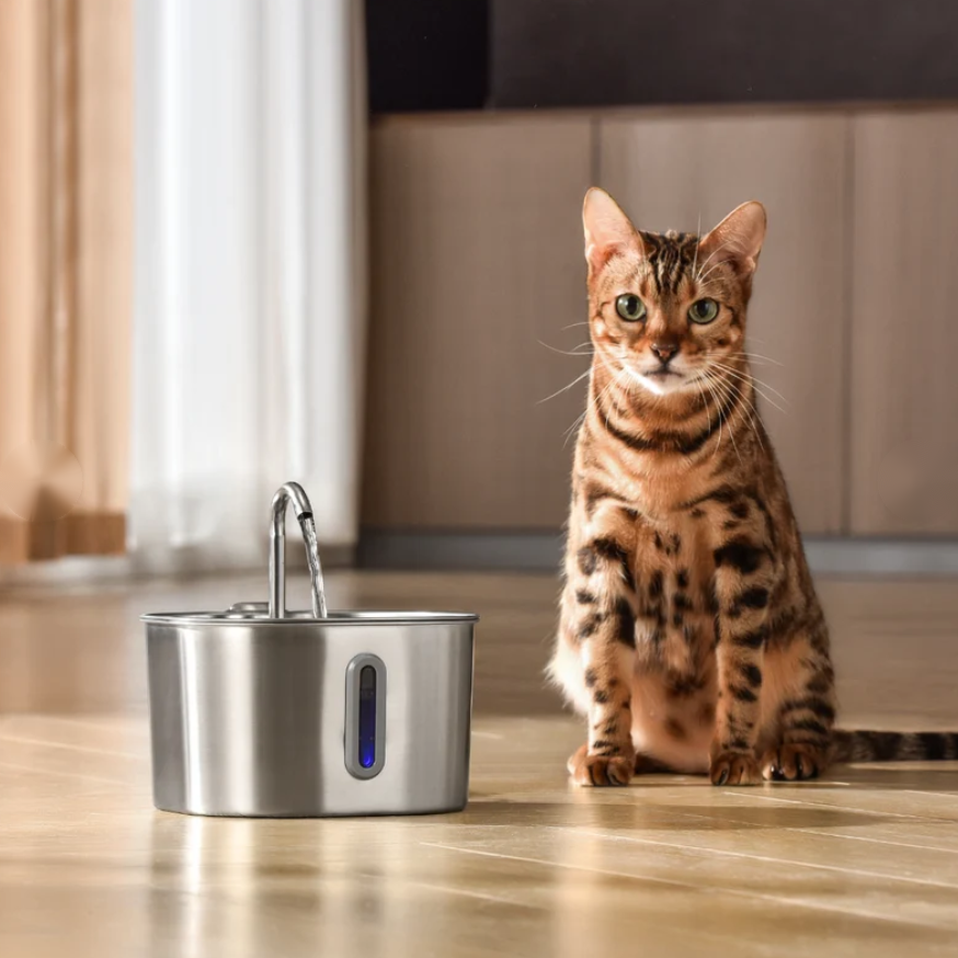 Fuente de Agua para Gatos — 2.2L Acero Inoxidable
