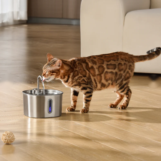 Fuente de Agua para Gatos — 2.2L Acero Inoxidable